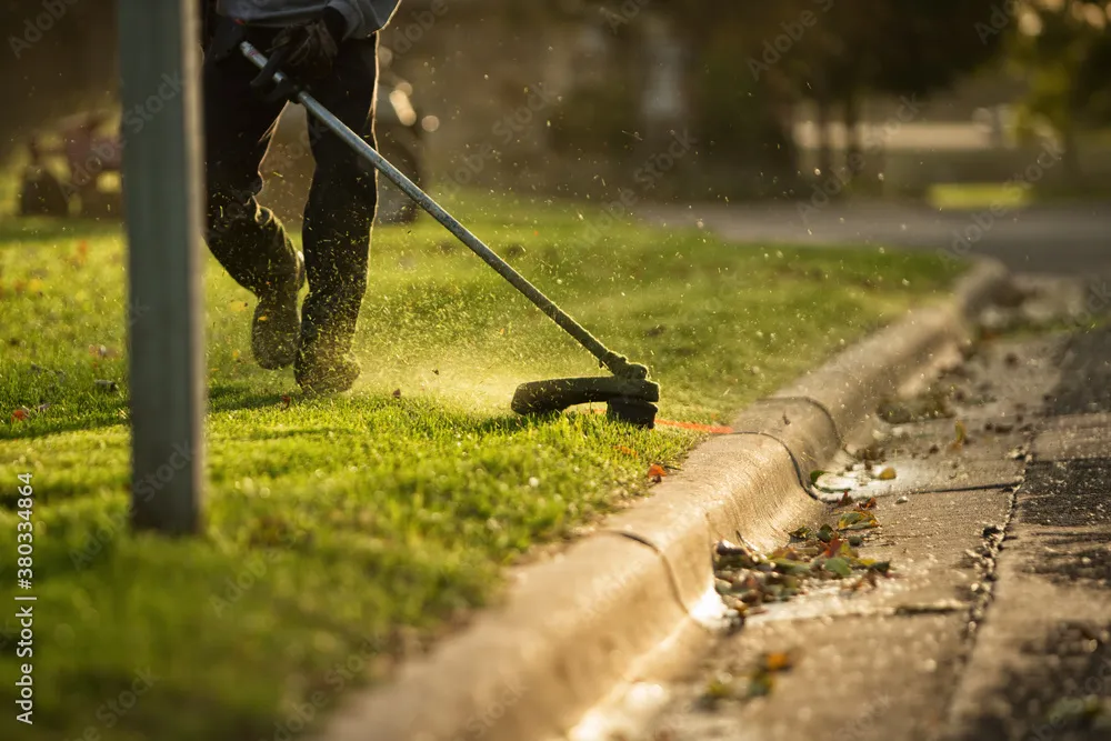 Lawn and Yard Care Services