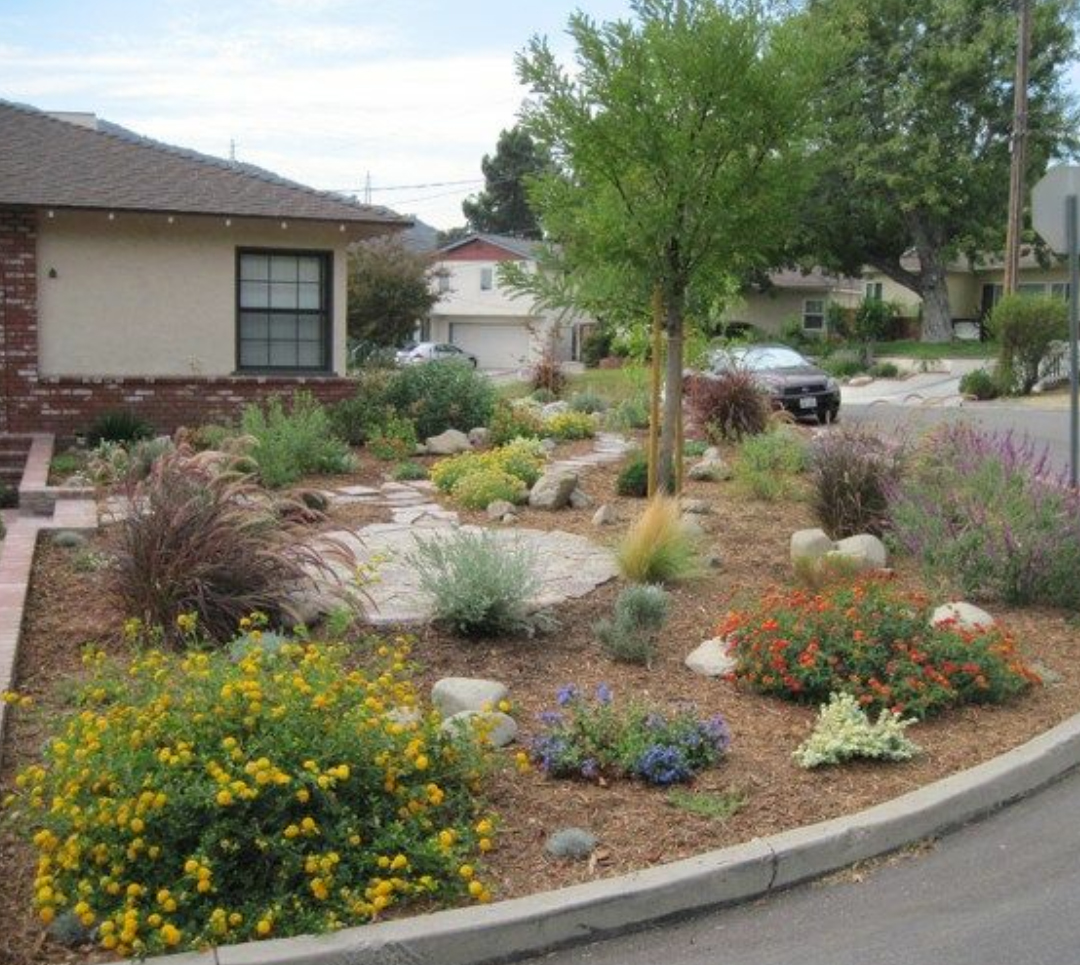 Gardening and Irrigation Services San Diego