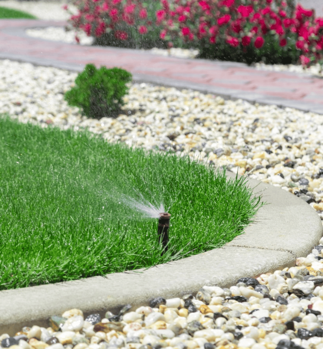 Custom pavers and hardscape pathway in San Diego — ProGreen Gardeners